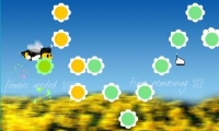 Symphony in Bee