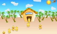 Save Chicks