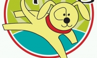 Top Dog