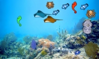 Memory of Goldfish