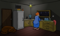 The Visitor