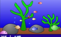 Hungry Fish