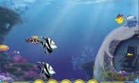 Growing Fish