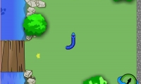 Snaket