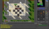 Tibia
