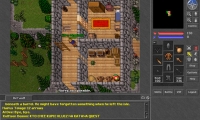 Tibia