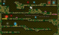 The Forest Temple 