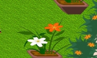 HoneyHunt 