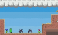 Mr. Puke’s Garden
