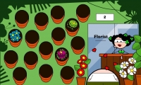 Florist Game