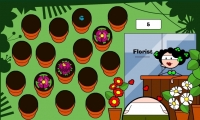 Florist Game