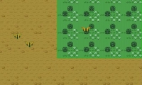 Butterfly Invasion