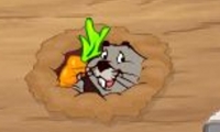 Grab the carrot