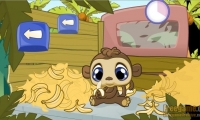 Banana Belly 