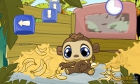 Banana Belly 