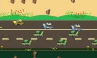 Frog In City