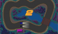 Course Des Pros