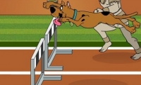 Scoobydoo Hurdle Race 