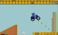 Sonic Enduro Race