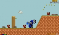 Sonic Enduro Race