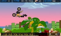 Acrobatic Rider