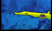 Ocean Explorer
