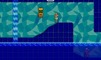 Super Luigi Paradise
