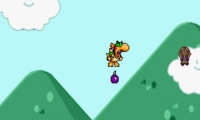 Bowser JR
