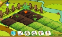 Papaya Farm