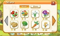 Papaya Farm