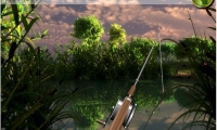Lake Fishing