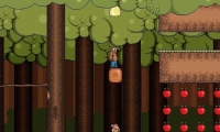 Grizzly Adventure
