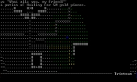 Diablo Roguelike
