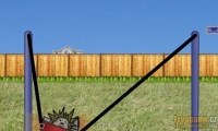 Hedgehog Launch