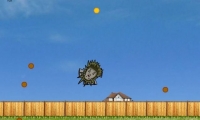 Hedgehog Launch