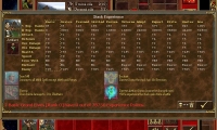 Heroes of Might and Magic III: In the wake of Gods