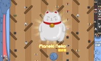 Sushi Cat