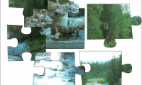 Jigsaw: Small River