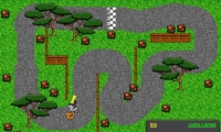 Pájaro Racing