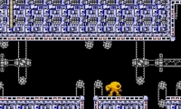 The Yellow Devil