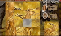 Puzzle Safari