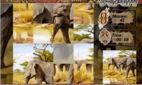 Puzzle Safari
