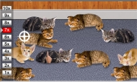 Wake Up, Pussycat! Poke! Poke!