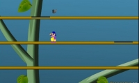 Jungle Dave