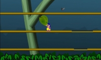 Jungle Dave