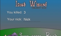 Last Wizard