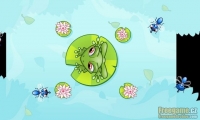 Mosqui Toss 