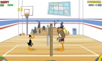 Tricky Duck Volleyball