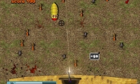 Ants.Survivor