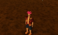 Aloha!
